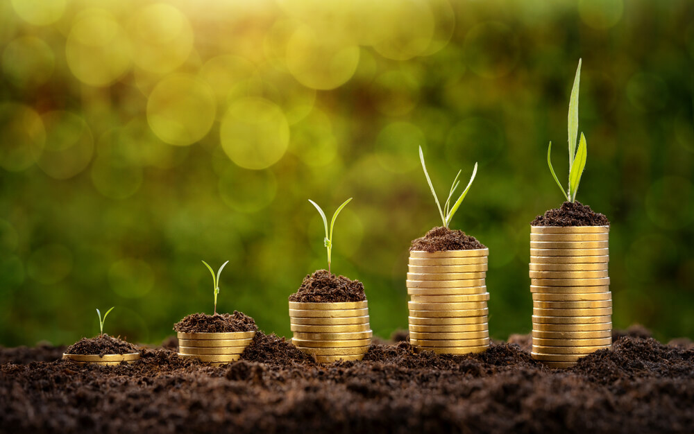 Small Savings Insurance