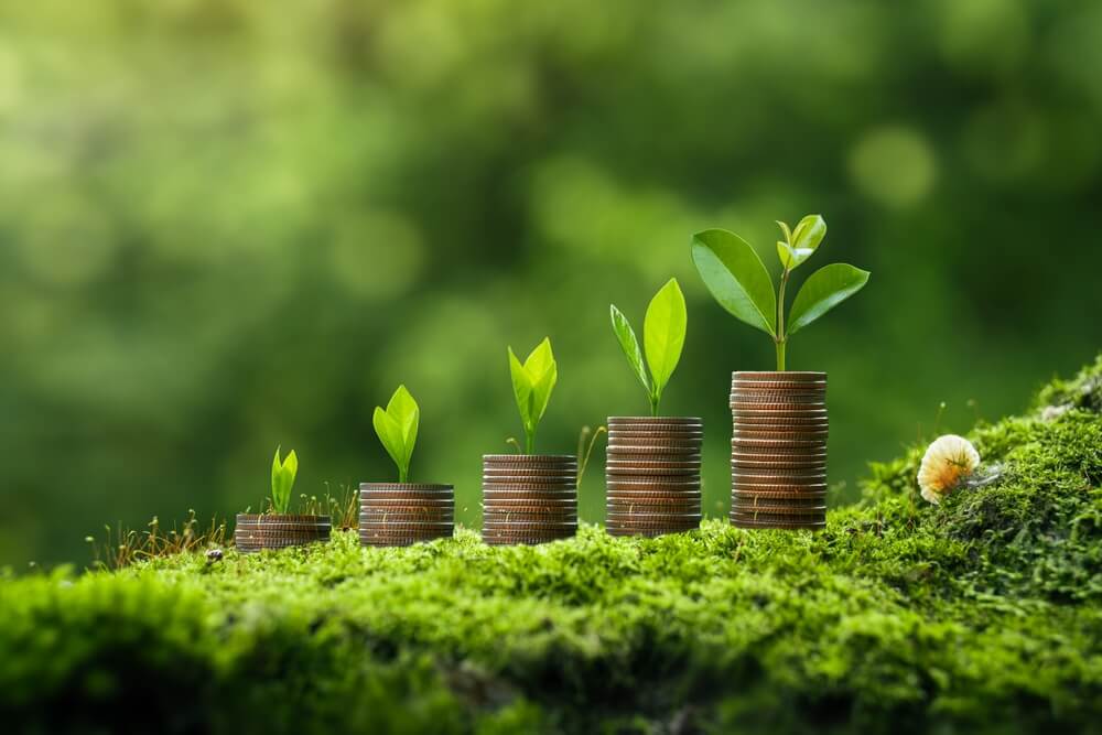 Individual Insurance